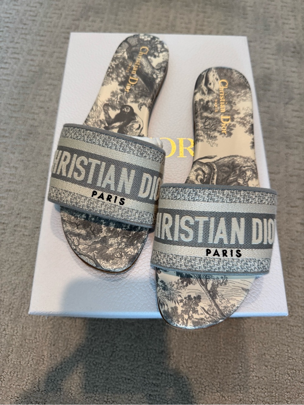 Dior Sandals